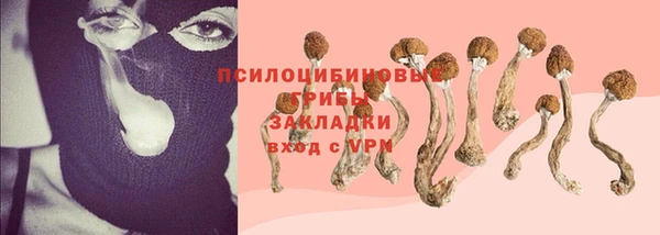 мяу мяу мука Белокуриха