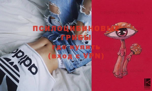 крисы Баксан