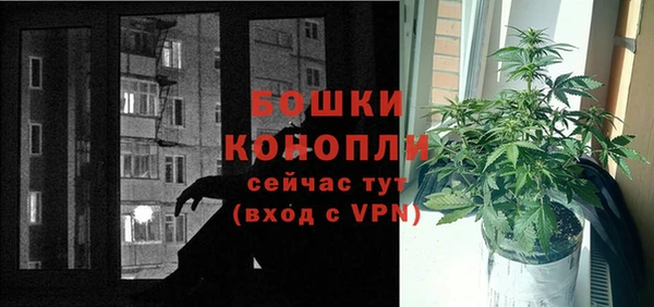 мяу мяу мука Белокуриха