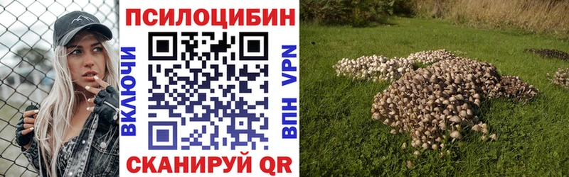 Псилоцибиновые грибы мицелий  сколько стоит  Чёрмоз 